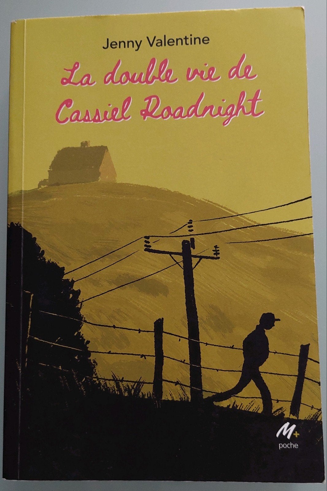Livre: La double vie de Cassiel Roadnight, Livres, Enlèvement ou Envoi