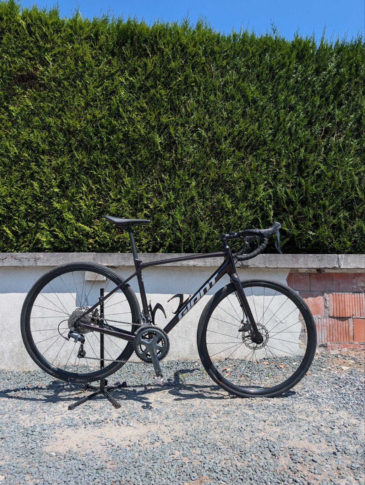 Giant Contend AR2 2023, Ophalen, Giant