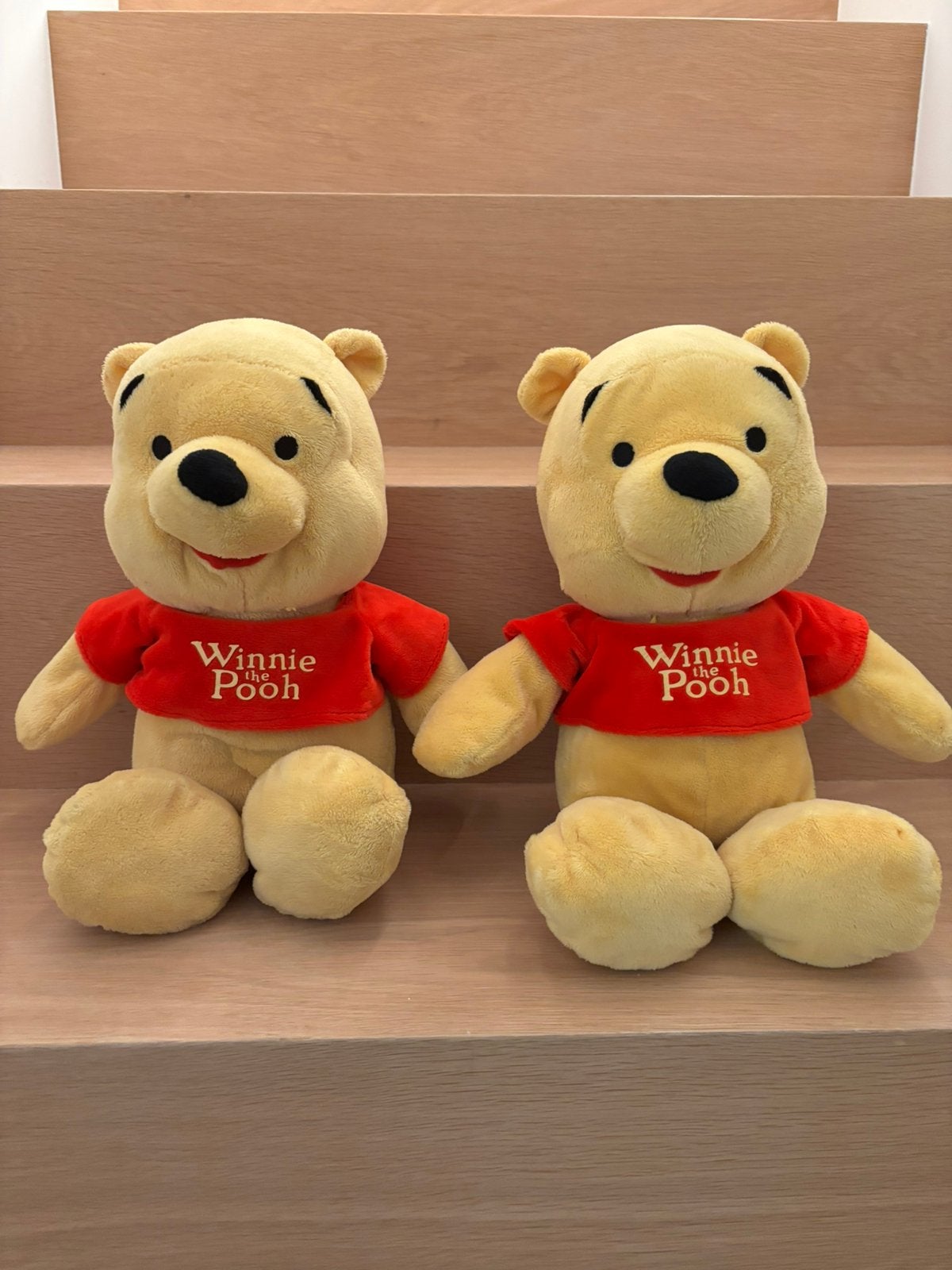 Disney Winnie the Pooh - 2 knuffels, Kinderen en Baby's, Speelgoed | Knuffels en Pluche, Overige karakters, Ophalen, Nieuw, Disney