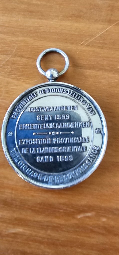 penningen en medailles, Ophalen of Verzenden, Zilver