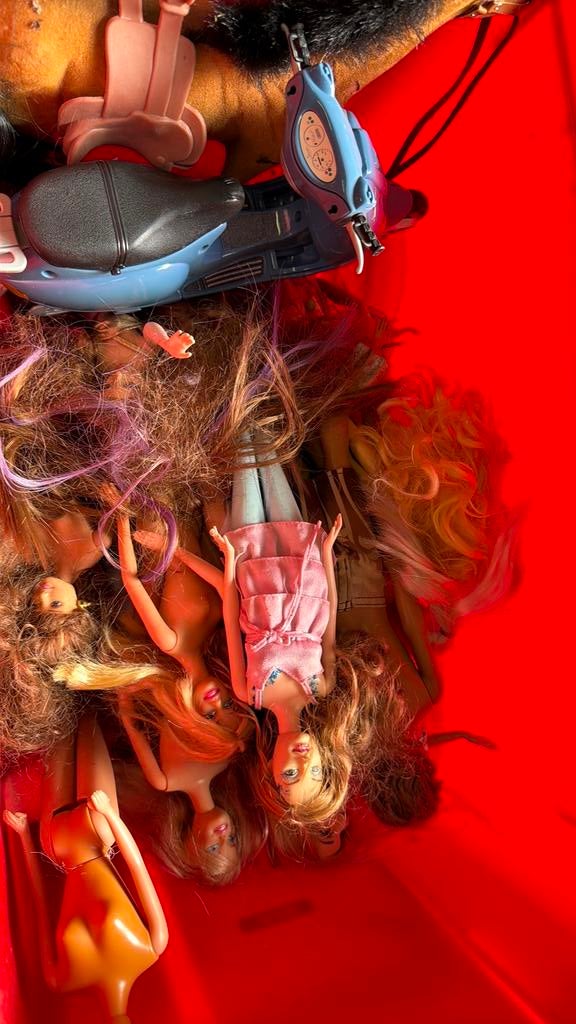 Lot barbie en winckx poppen, Enlèvement, Utilisé