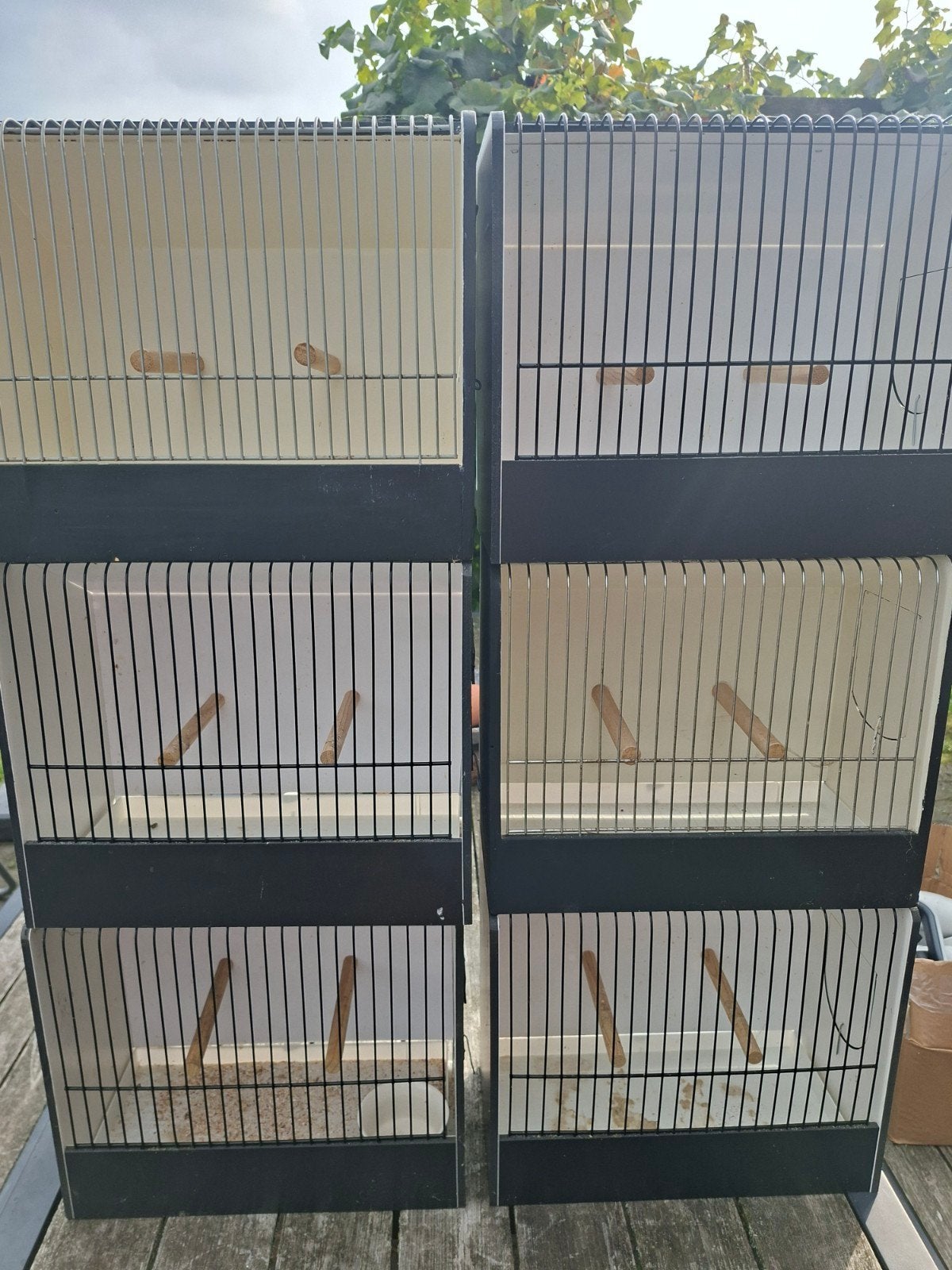 TT kooien, Dieren en Toebehoren, Ophalen, Zo goed als nieuw