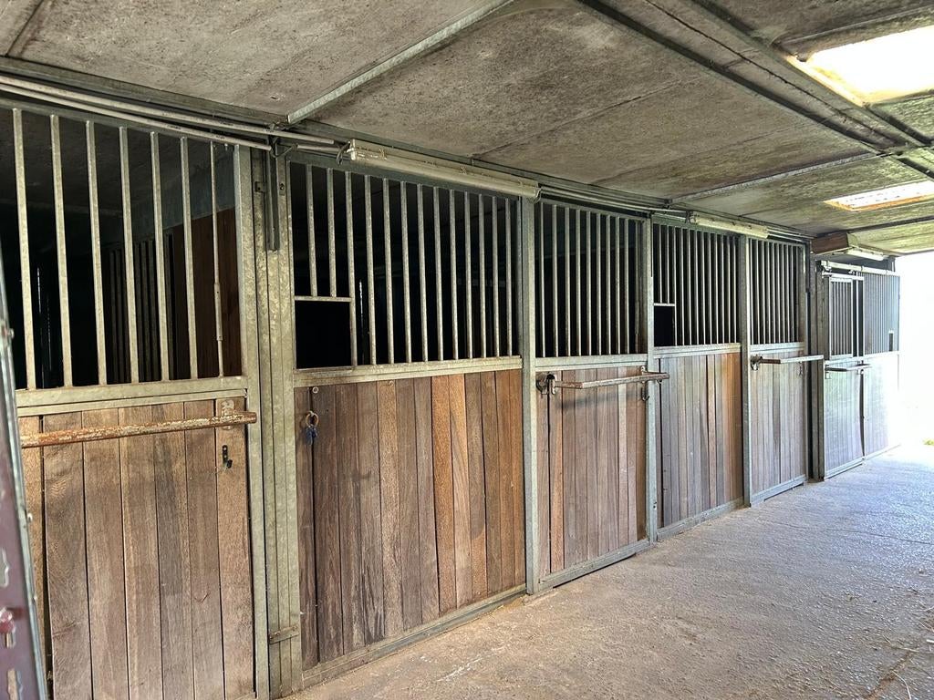 9 stallen te koop, Dieren en Toebehoren, Stalling en Weidegang