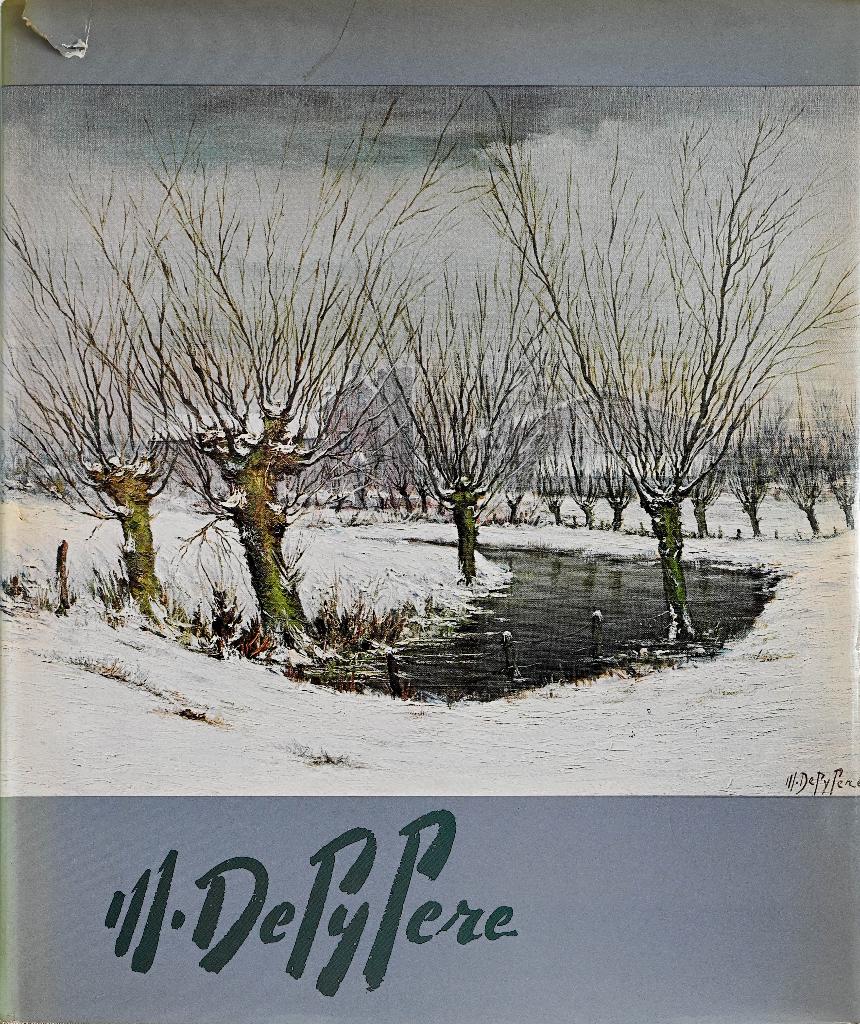 MICHEL DEPYPERE (KUNSTMONOGRAFIE), Peinture et dessin, Enlèvement ou Envoi, Utilisé, Bert Dewilde