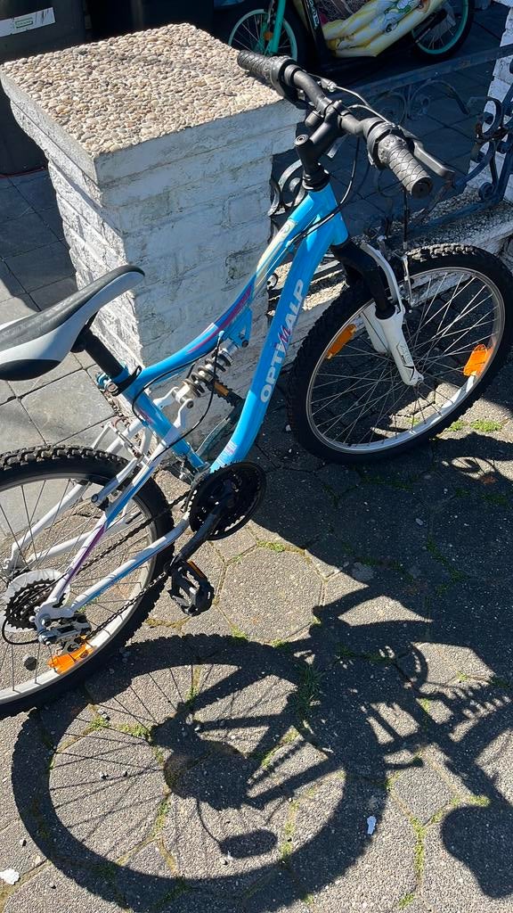 Vélo mixte, Vitesses, Frein sur jante, Utilisé, 20 pouces