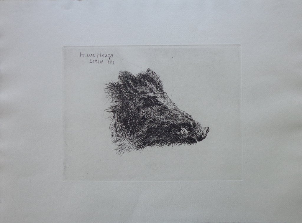 H. VAN HAVRE / EVERZWIJN / ZW-W ETS / 40x53cm / LIBIN, Antiquités & Art, Art | Lithographies & Sérigraphies, Enlèvement ou Envoi