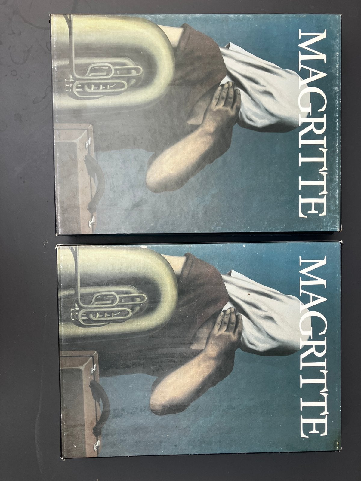 Magritte David Sylvester, Tilly Maters, Boeken, Ophalen