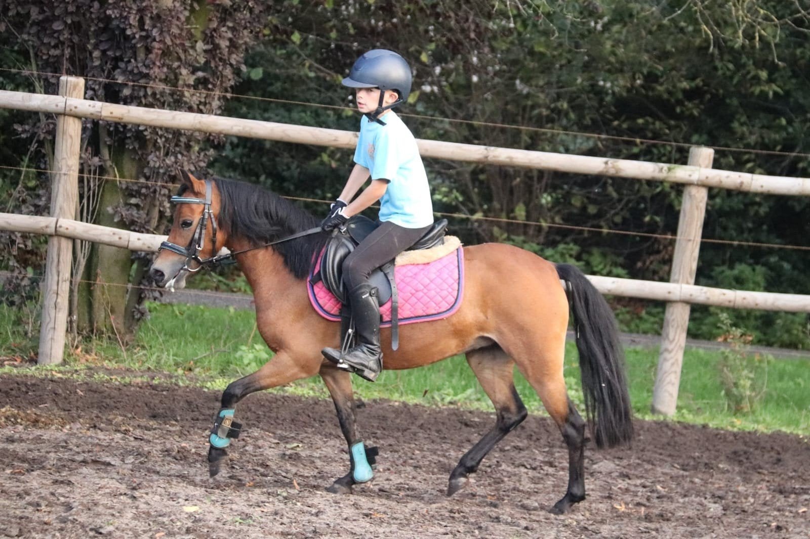 lieve A pony te koop, Dieren en Toebehoren, B, A pony (tot 1.17m), 7 tot 10 jaar, Recreatiepony