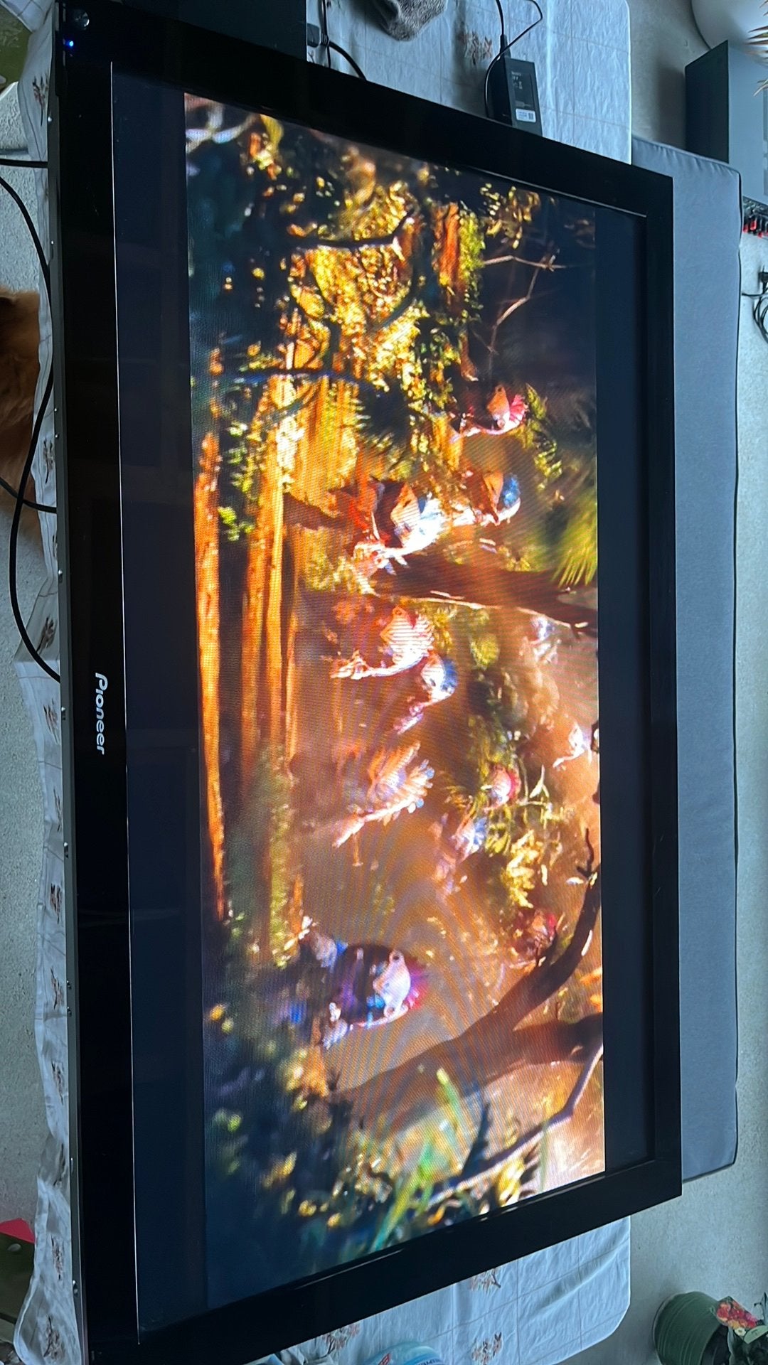 Pioneer plasma 50”, Audio, Tv en Foto, Ophalen, Gebruikt, Pioneer