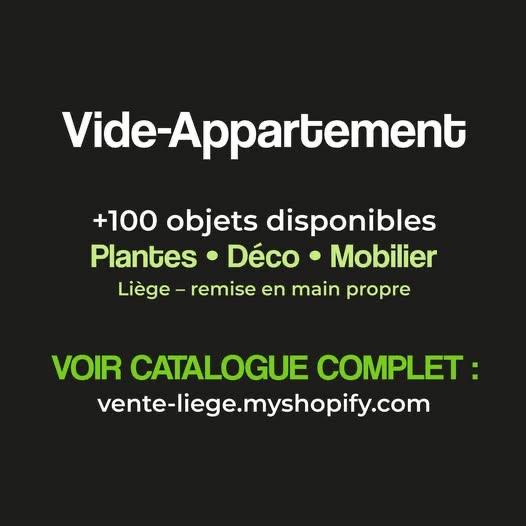 Vide-appartement – Plantes, déco, mobilier (+100 objets), Ophalen, Zo goed als nieuw