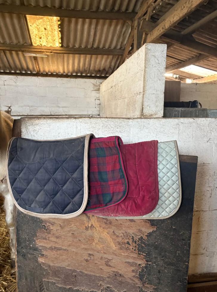 1 tapis cheval et 3 tapis poney, Enlèvement, Utilisé, Équitation