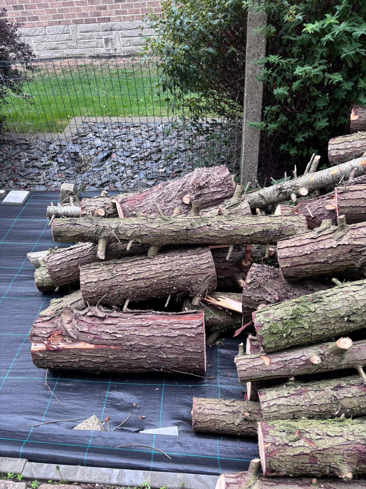 Bois de sapin a vendre, Jardin & Terrasse, Moins de 3 m³, Enlèvement, Autres essences de bois, Troncs d'arbres
