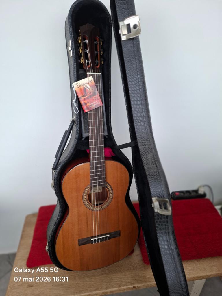 Guitare, Enlèvement
