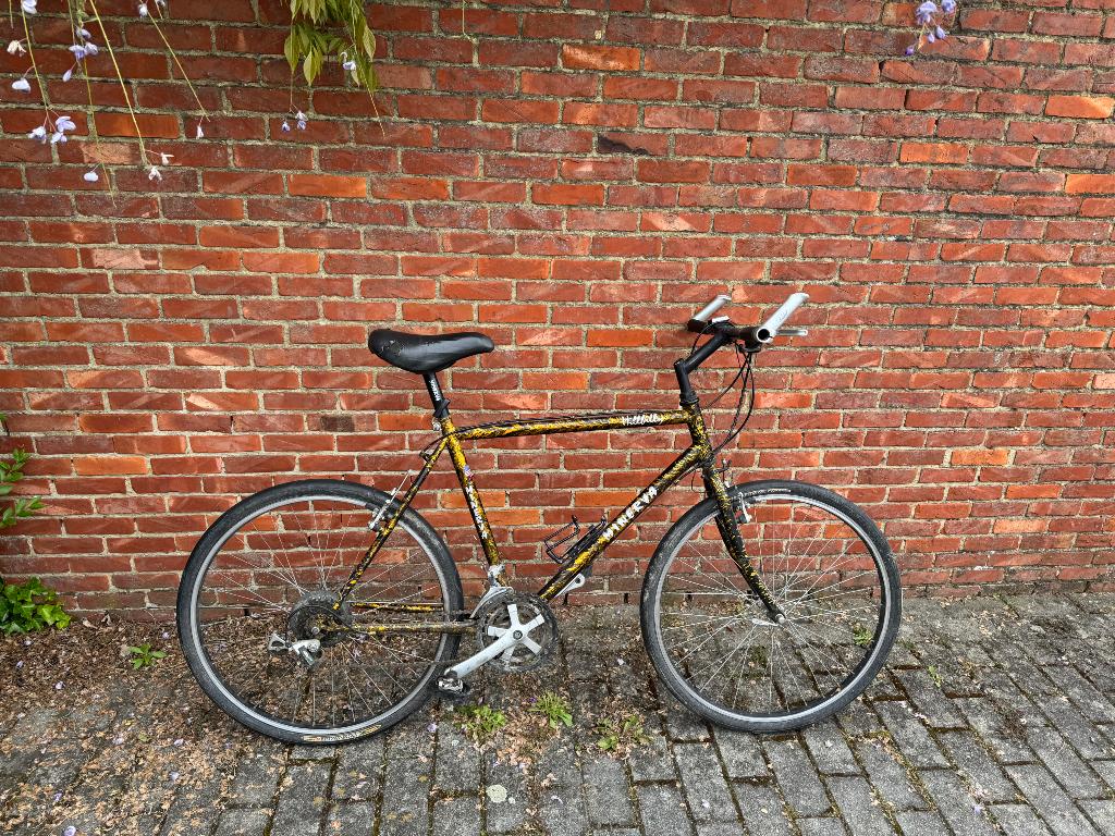 Minerva hillbilly heren fiets, Ophalen, Gebruikt, Overige merken, Versnellingen