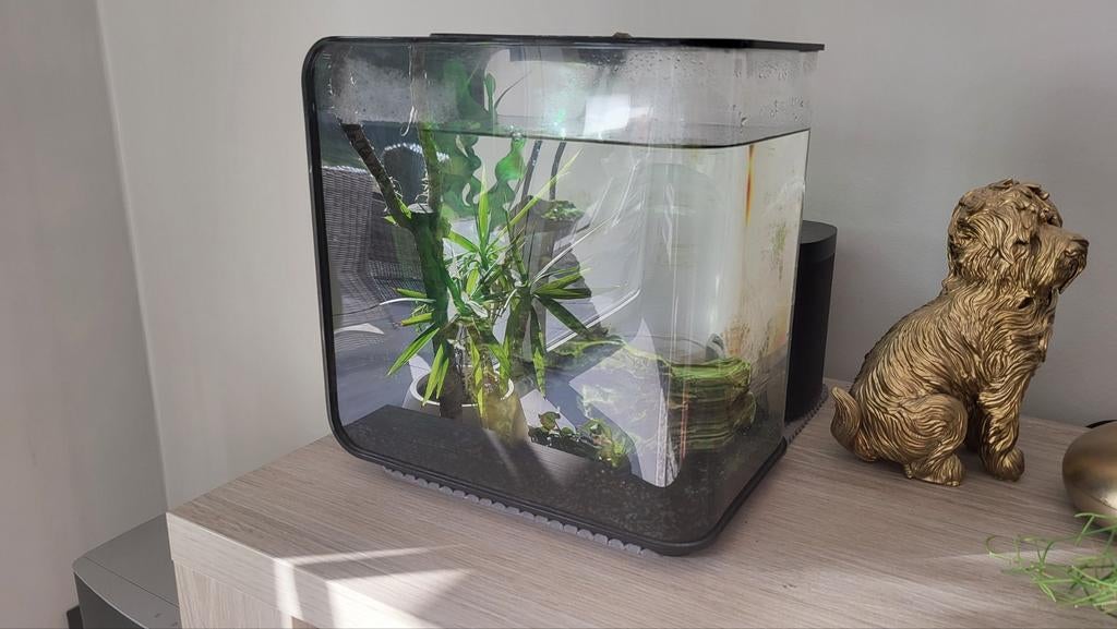 Aquarium, Enlèvement, Comme neuf, Filter