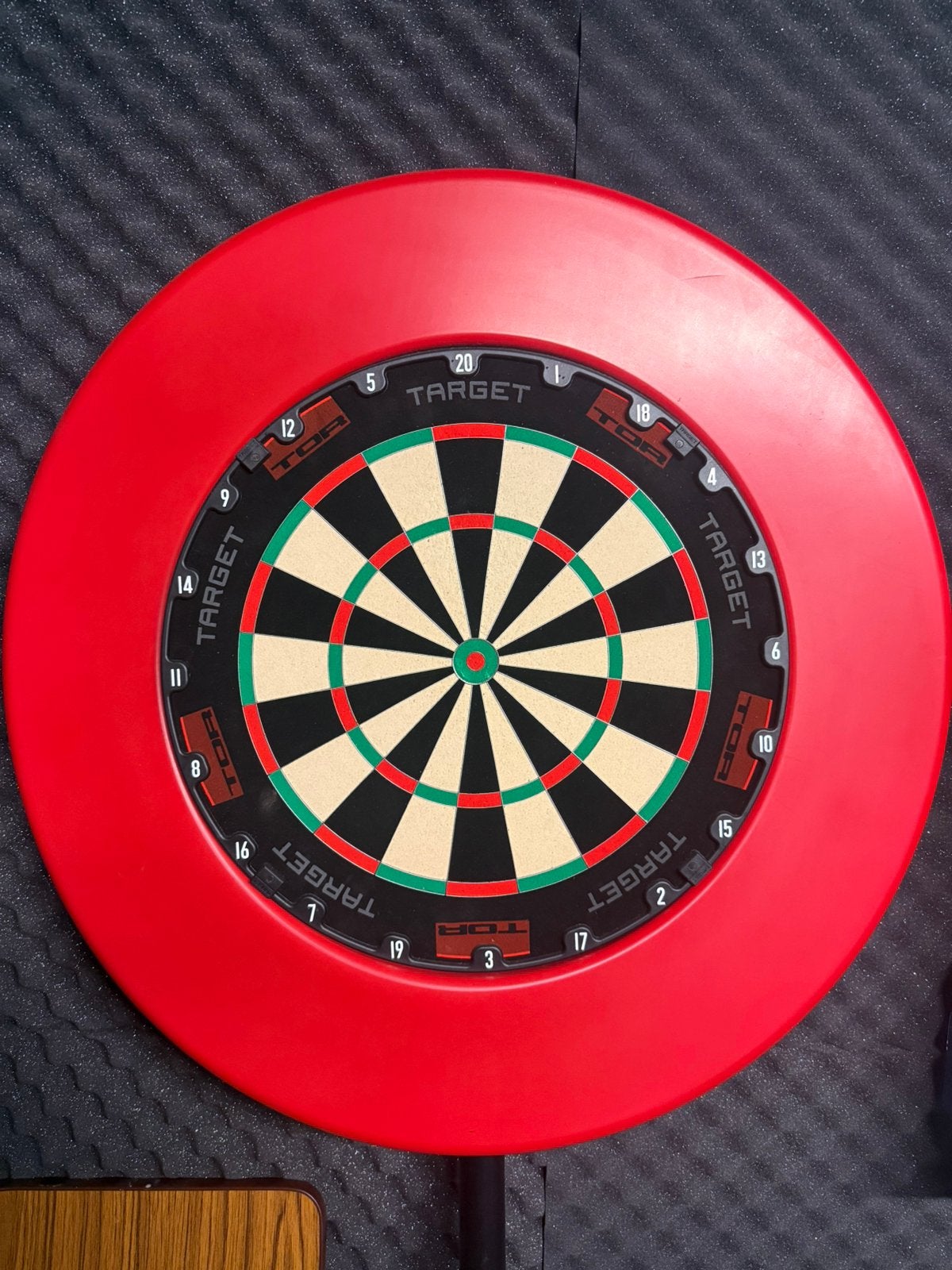Target Tor + surround, Sport en Fitness, Darts, Ophalen of Verzenden, Zo goed als nieuw