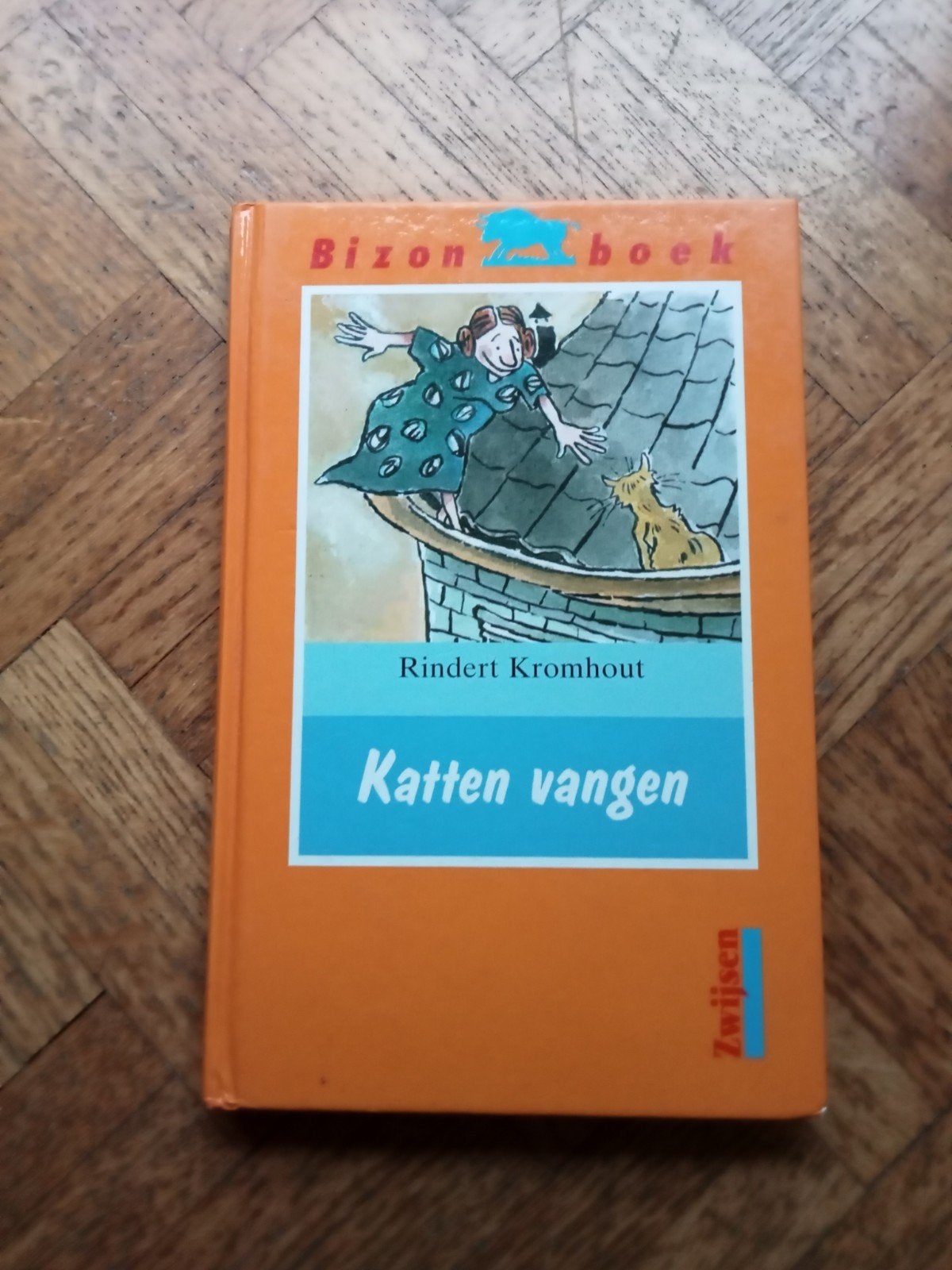 Rindert Kromhout: Katten vangen - vanaf 8-9 jaar, Enlèvement ou Envoi, Utilisé