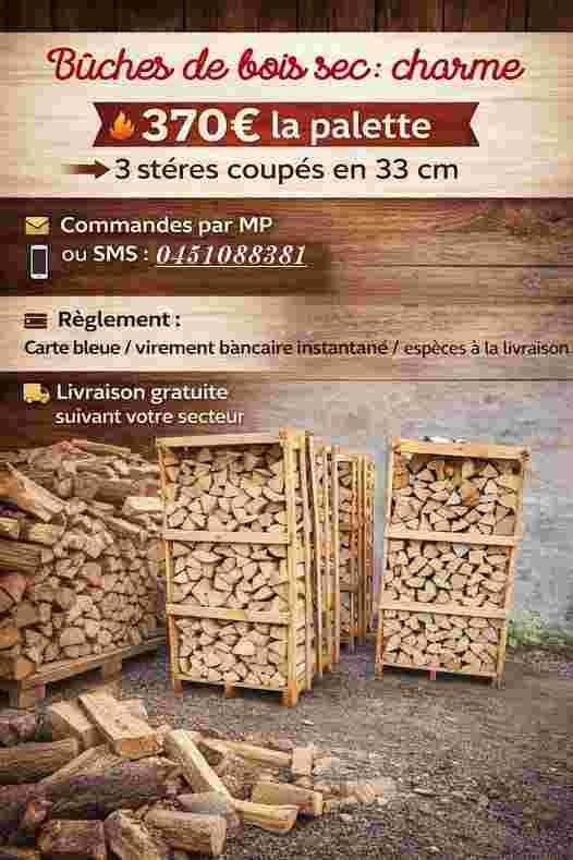 Bois dur hêtre chêne pour chauffage paiement à la livraison, 6 m³ ou plus, Enlèvement ou Envoi, Hêtre, Bûches