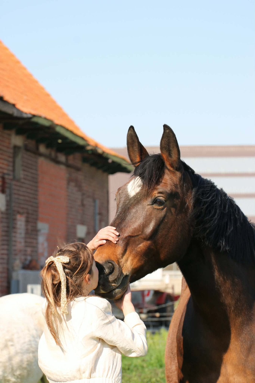 Fokmerrie/ recreatiepaard, Dieren en Toebehoren, Merrie, Zadelmak, Recreatiepaard