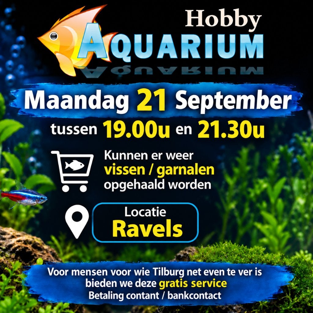 Ma 21 Sept vissen/garnalen overzicht bestel/ophalen Ravels, Dieren en Toebehoren, Zoetwatervis