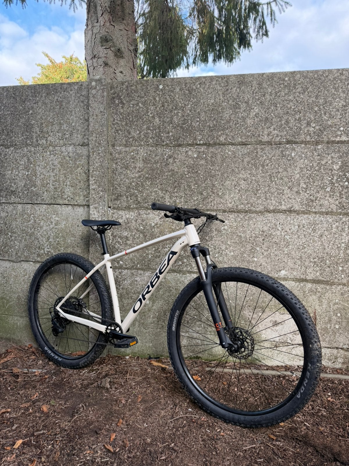 Vélo de montagne Orbea, Vélos & Vélomoteurs, Autres marques, Comme neuf, Enlèvement, Hommes