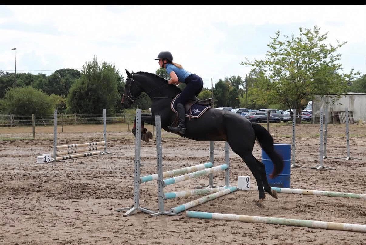 Lieve merrie te koop, Dieren en Toebehoren, Merrie, Met stamboom, Zadelmak, 160 tot 165 cm