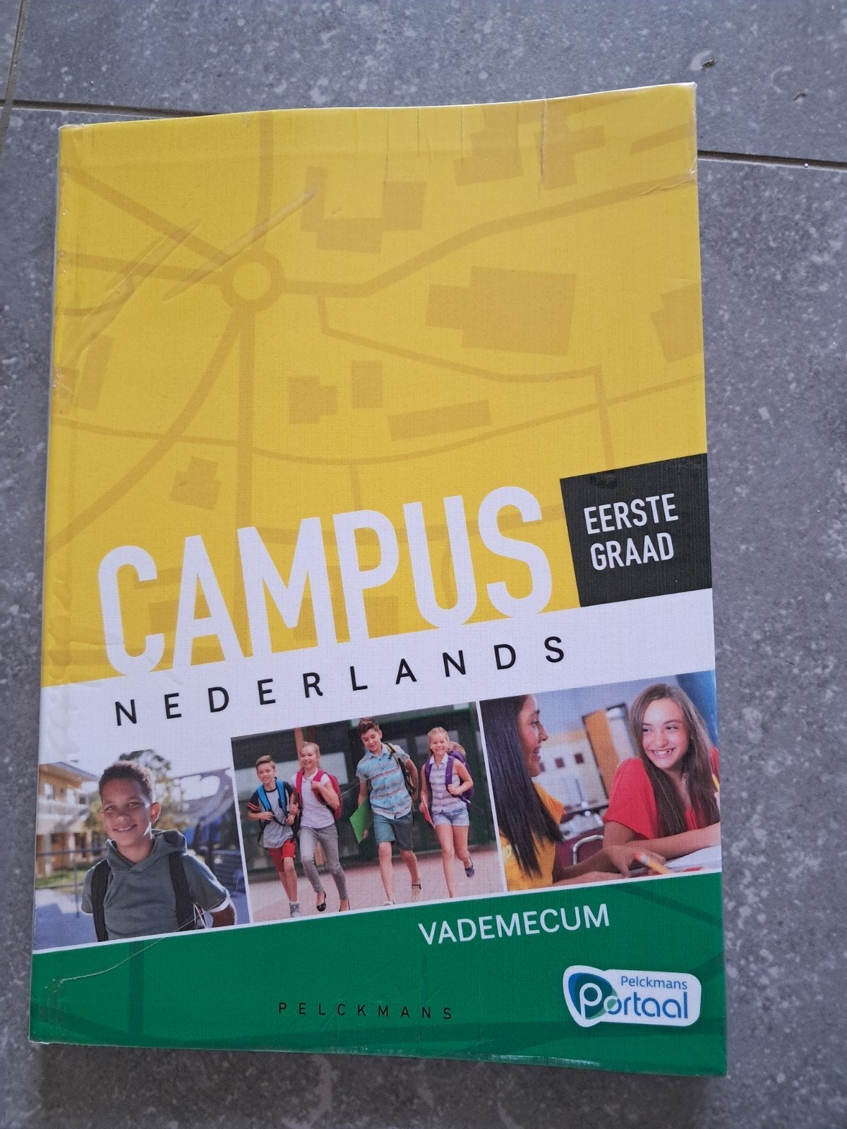 Campus Nederlands vademecum eerste graad, Boeken, Ophalen of Verzenden, Zo goed als nieuw, ASO, Nederlands