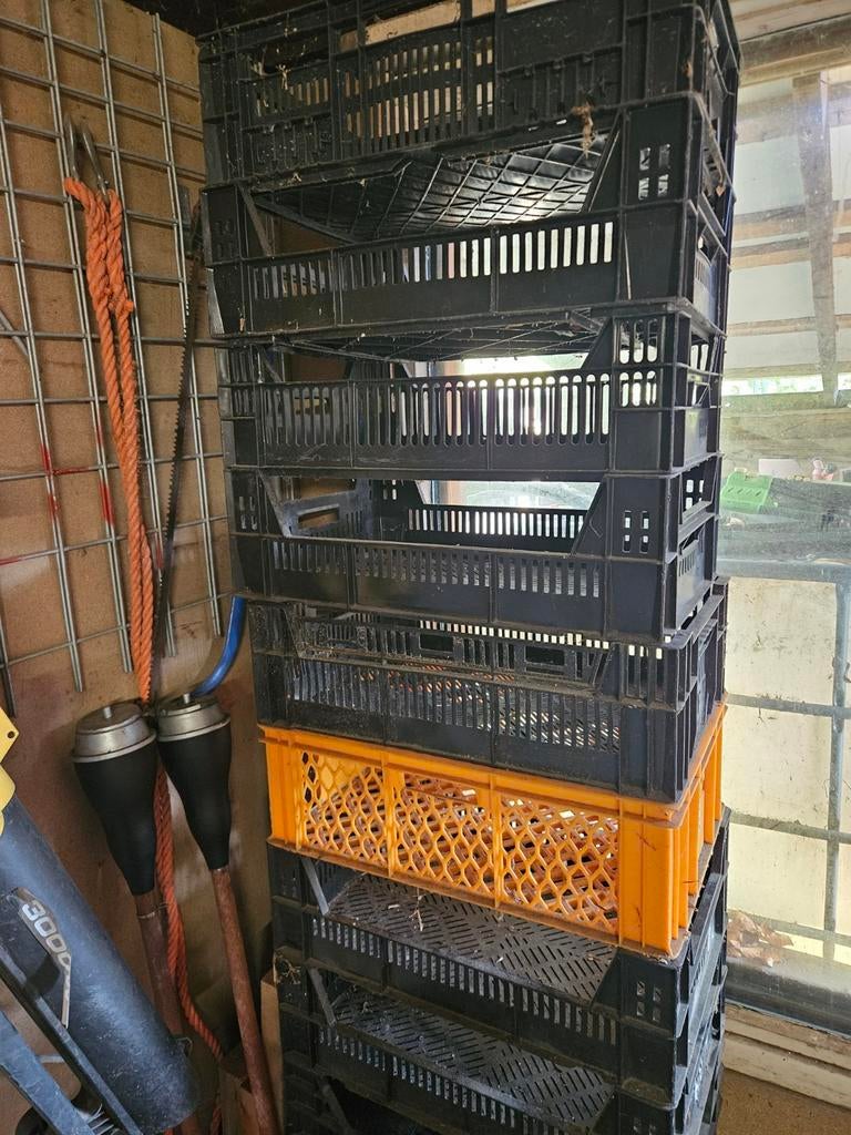 Plastiek groenten en fruit bakken voor velerlei mogelijkhede, Ophalen