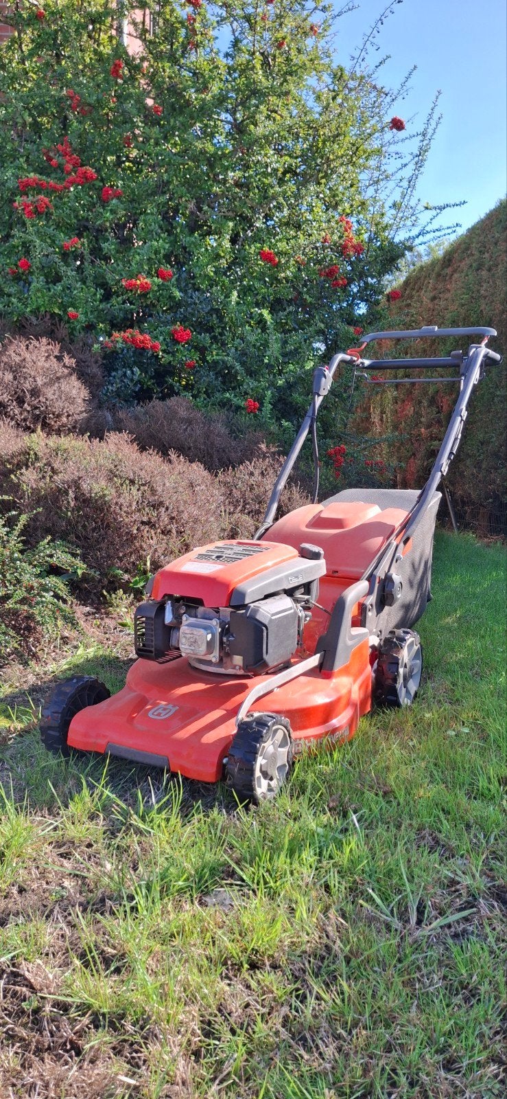 tondeuse thermique Husqvarna, Jardin & Terrasse, Enlèvement