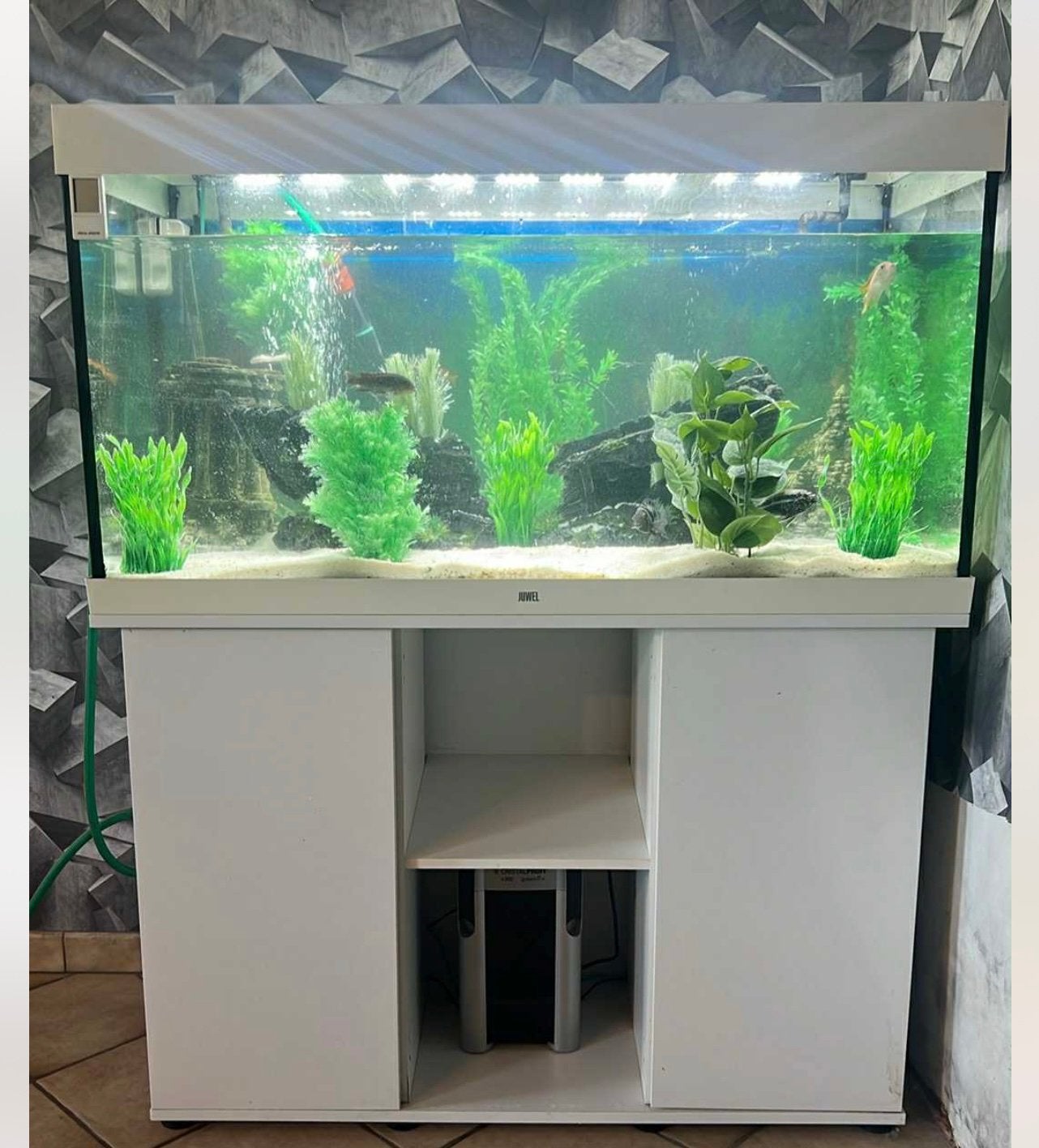 Aquarium, Comme neuf, Enlèvement, Autres types, Accessoires inclus