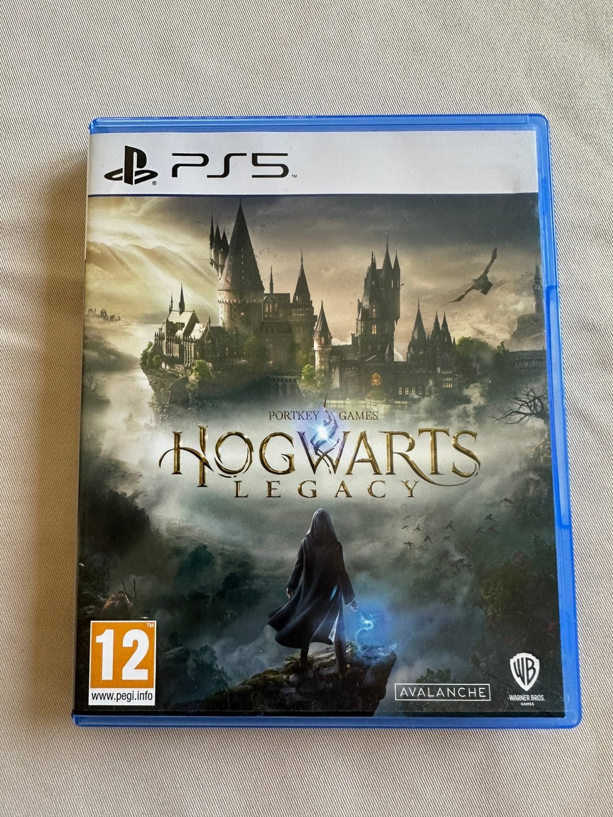 Ps5 Hogward Legacy, Games en Spelcomputers, Ophalen, Zo goed als nieuw
