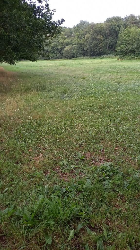 Weide te huur, Dieren en Toebehoren