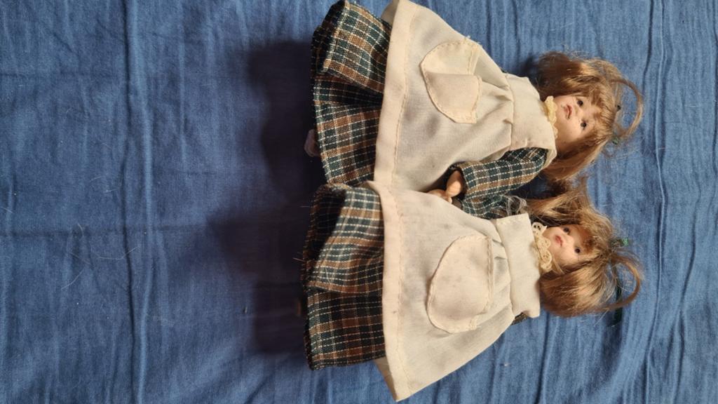 Tweelingpop, Dieren en Toebehoren, Hondenkleding, Ophalen of Verzenden