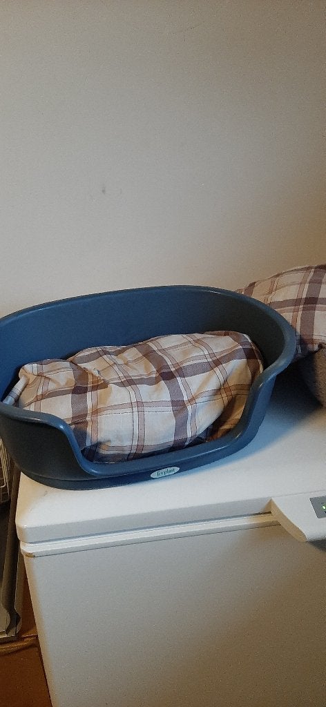 Hondenmanden en kussens (alles samen voor 8 euro), Dieren en Toebehoren, Ophalen