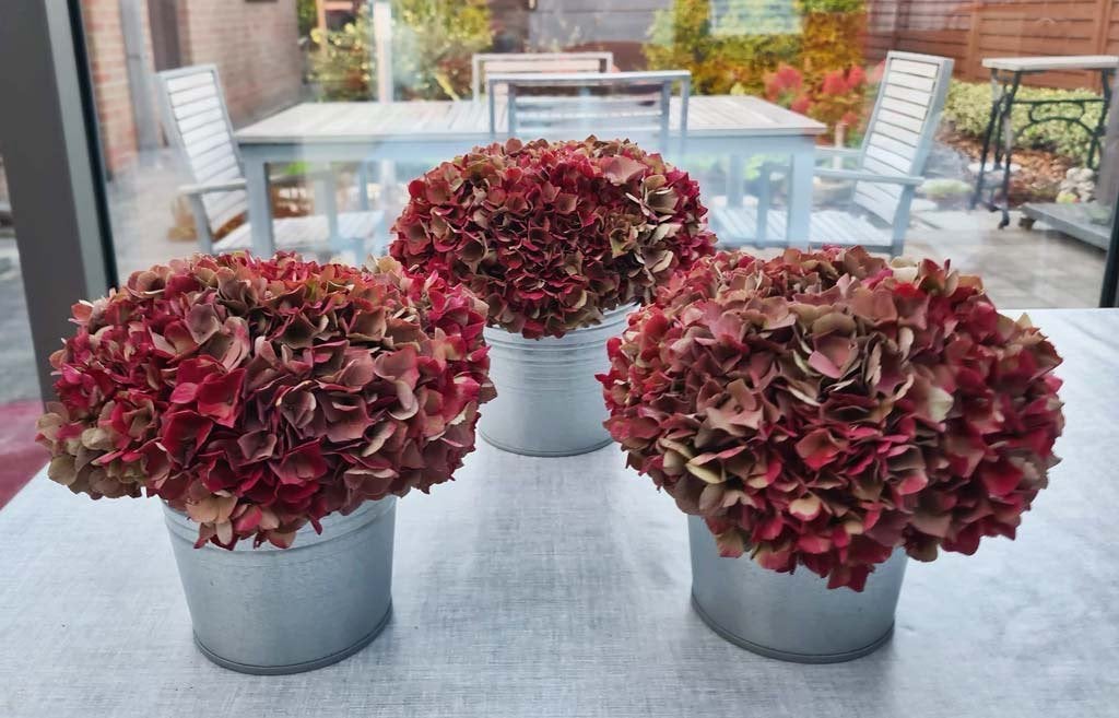 bloemstukje van hortensiatakken 1,00/st - zie info, Ophalen