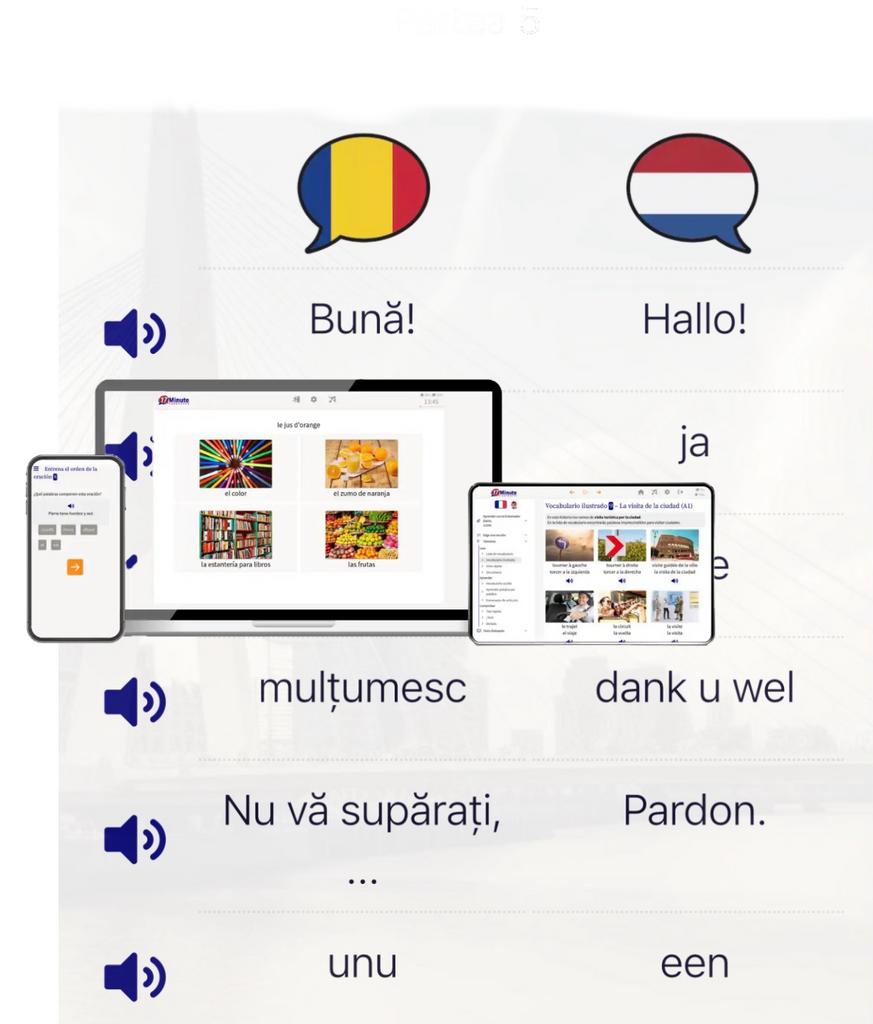 Curs complet de limba olandeză A1–C2 | Online + Audio, Livres, Langue | Langues Autre, Envoi, Neuf, Non-fiction