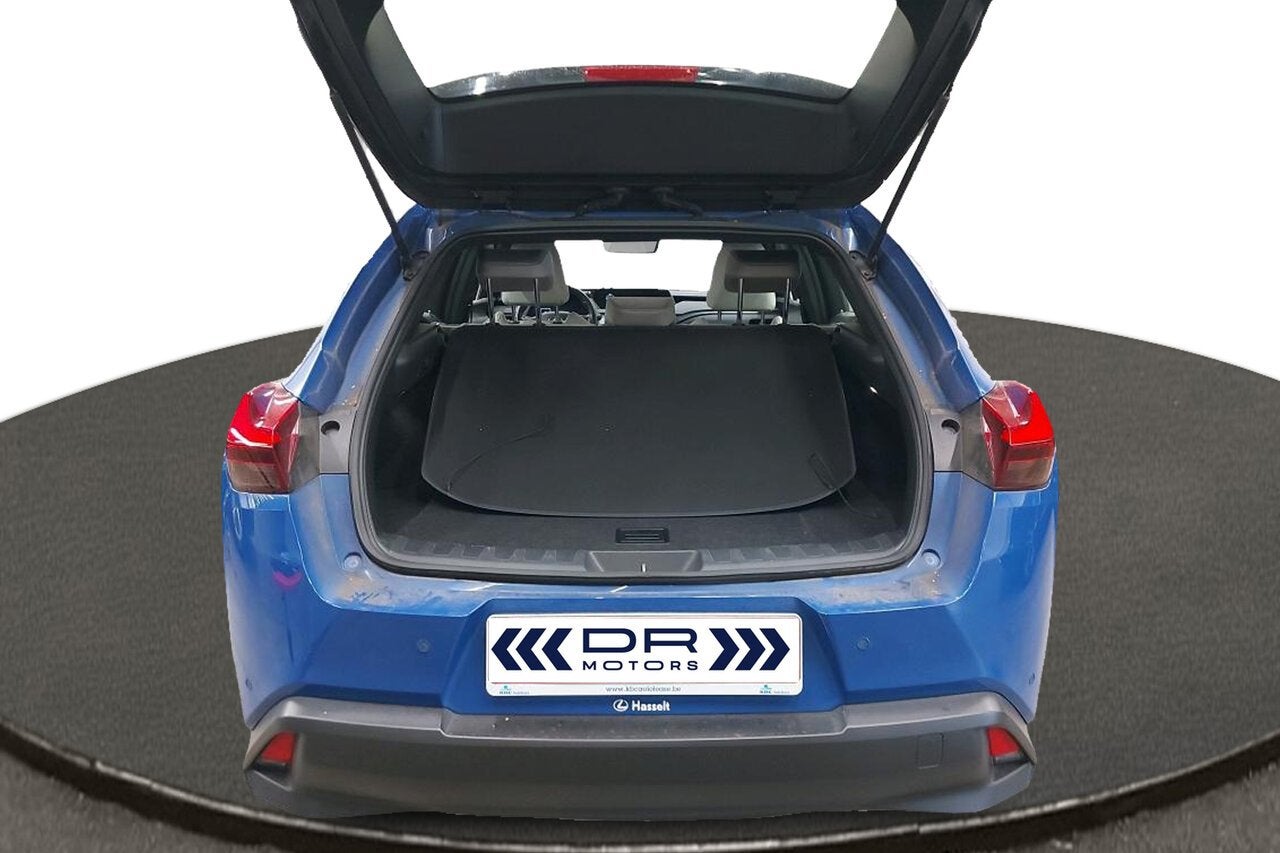 Lexus UX 250h Business Line, 0 kg, Euro 6, Bedrijf, 5 zetels
