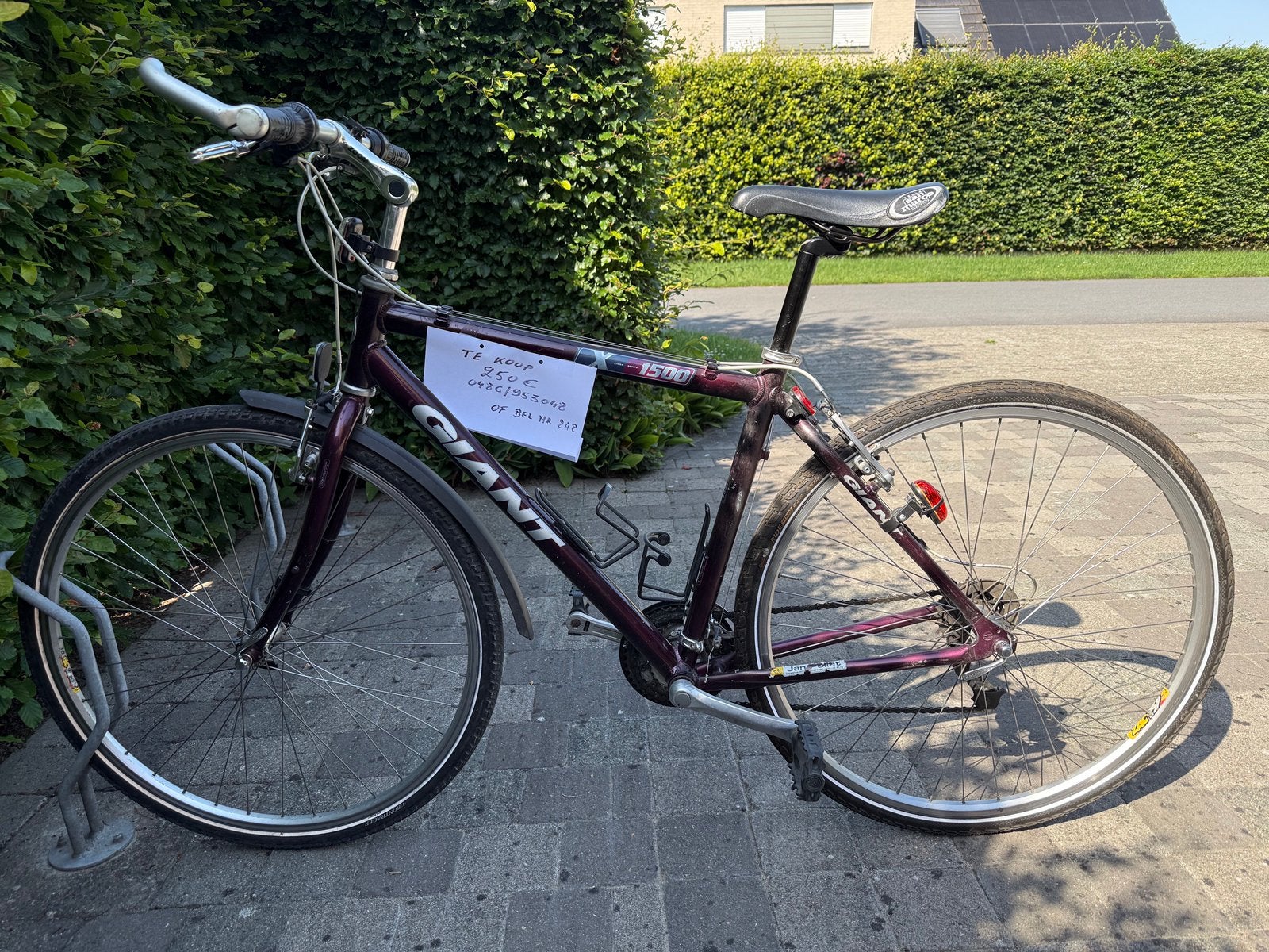Toerfiets heren, Frein sur jante, Giant, Enlèvement, 28 pouces