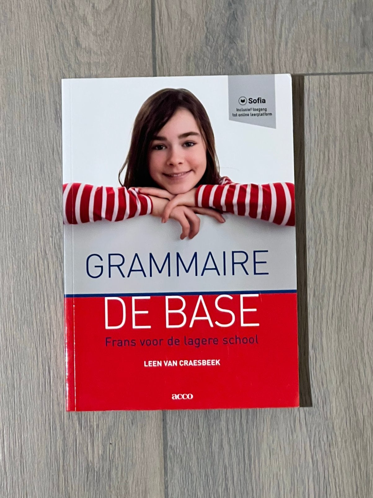Lee Van Craesbeek - Grammaire de base, Livres, Science, Enlèvement ou Envoi, Lee Van Craesbeek