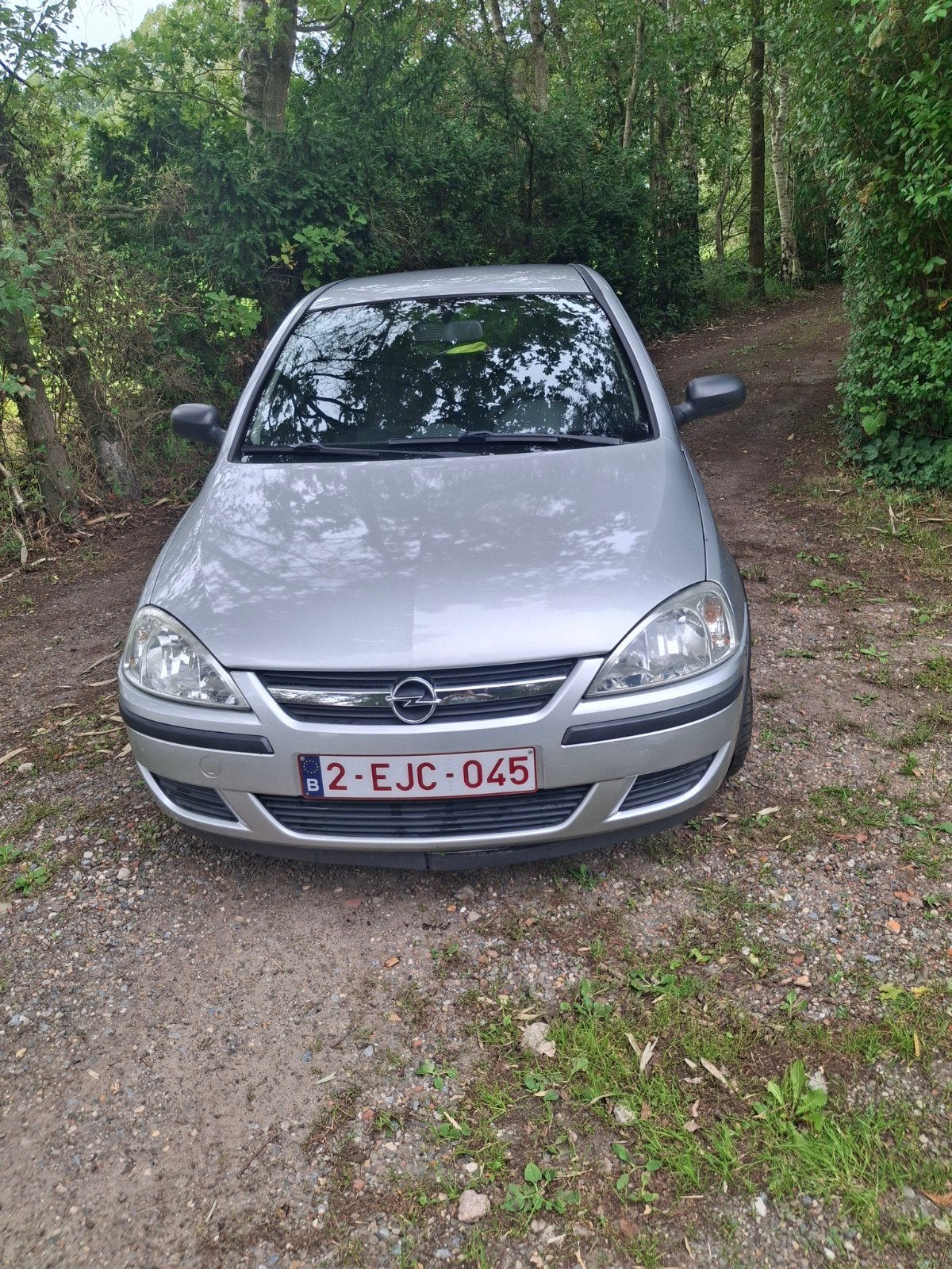 Opel Corsa  1.2  automaat, Centrale vergrendeling, Bedrijf, 59 kW, Zilver of Grijs