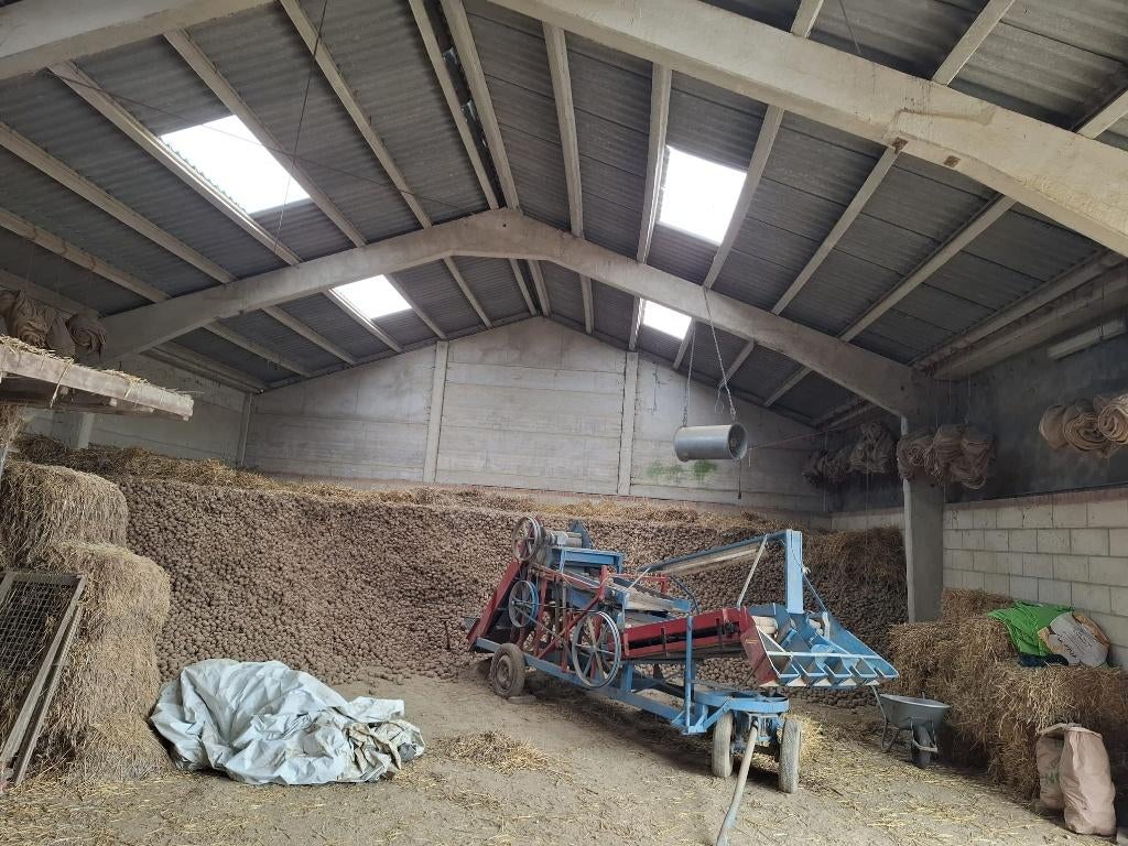 Loods, 243 m², Koop, Opslag of Loods