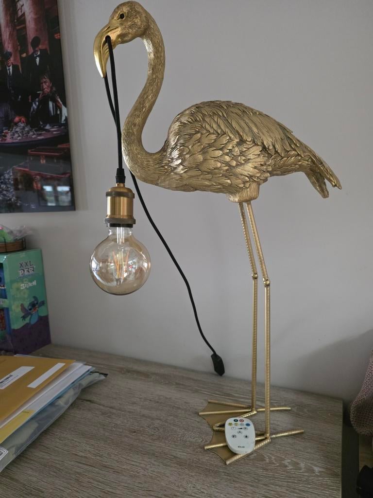 Lamp, Ophalen