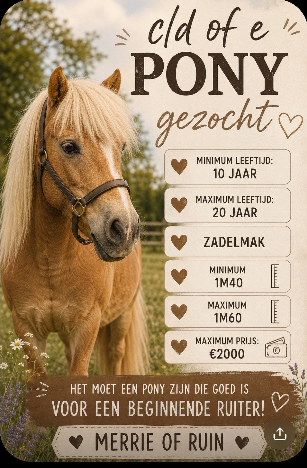 Poney recherché, Enlèvement ou Envoi