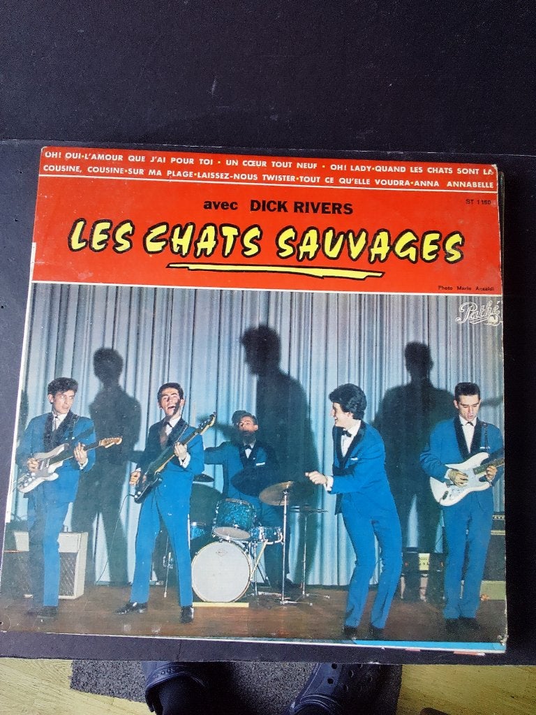 DISQUES VINYLES, Enlèvement