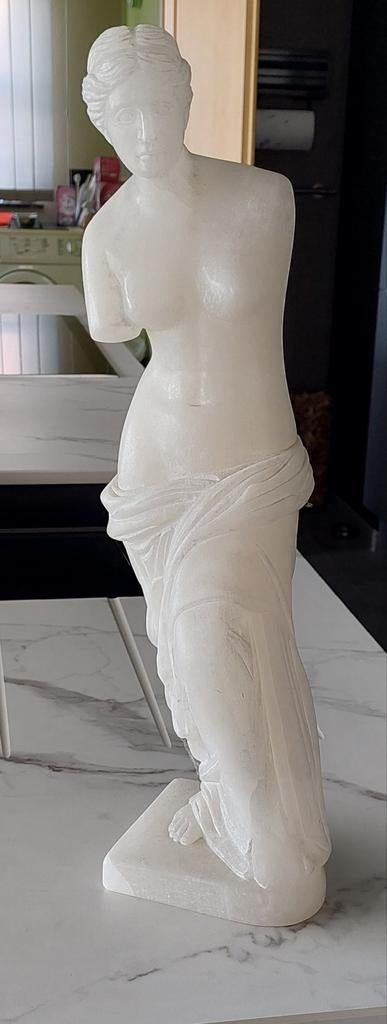 Venus de Milo, Ophalen