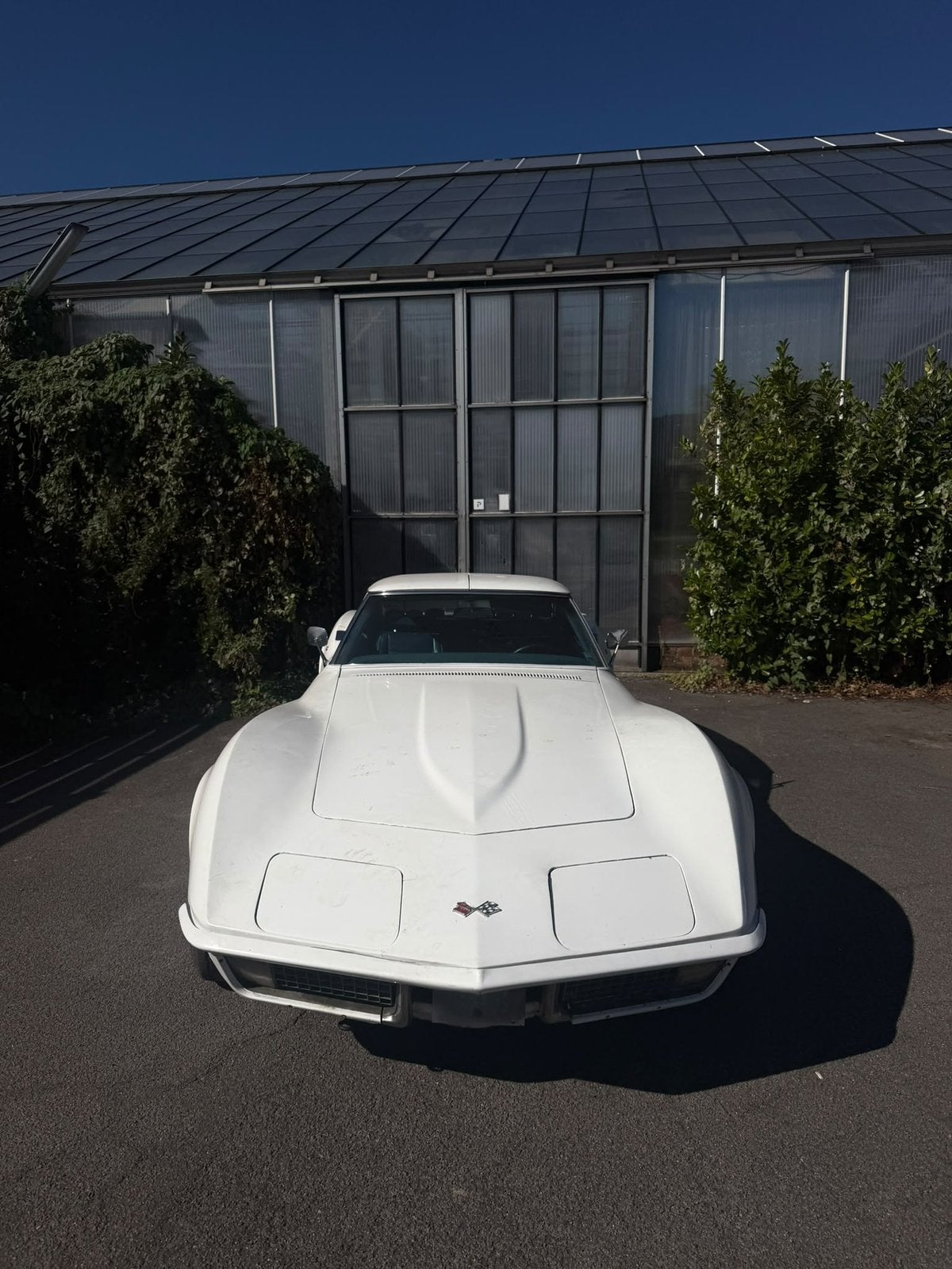 Corvette c3 stingray 5.7v8 handgeschakeld TRoof, foto 3