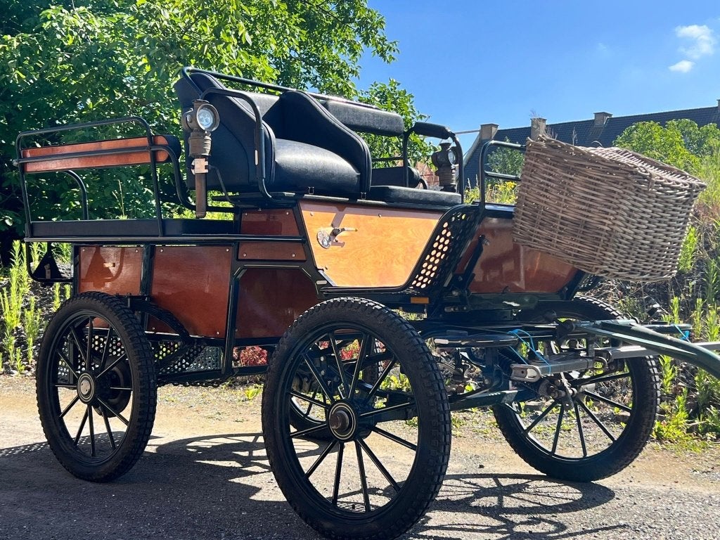 Prachtige koets te koop, Dieren en Toebehoren, Gebruikt, Overige typen, Paard of Pony