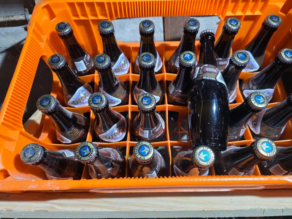 Orval van oktober 2020 oud ! Te koop in Brakel, Ophalen