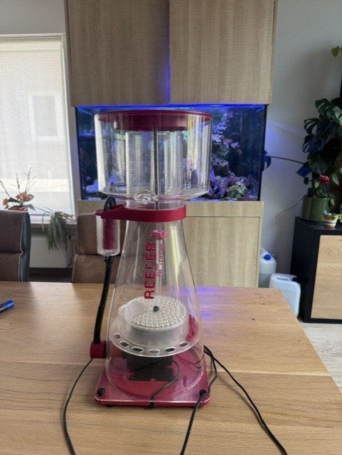Red Sea RSK900 afschuimer, Animaux & Accessoires, Poissons | Aquariums & Accessoires, Enlèvement, Red Sea