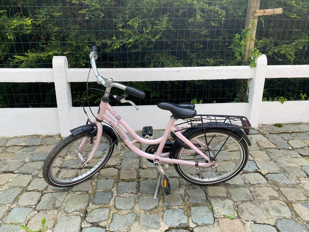 Vélo 20 pouces pour filles, Enlèvement, Utilisé, 20 pouces, Vitesses